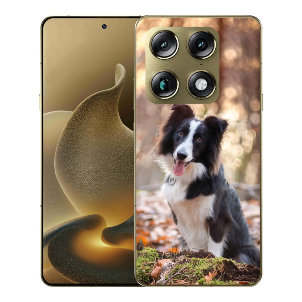 Gélový kryt mmCase na Motorola Signature - border kólia 1