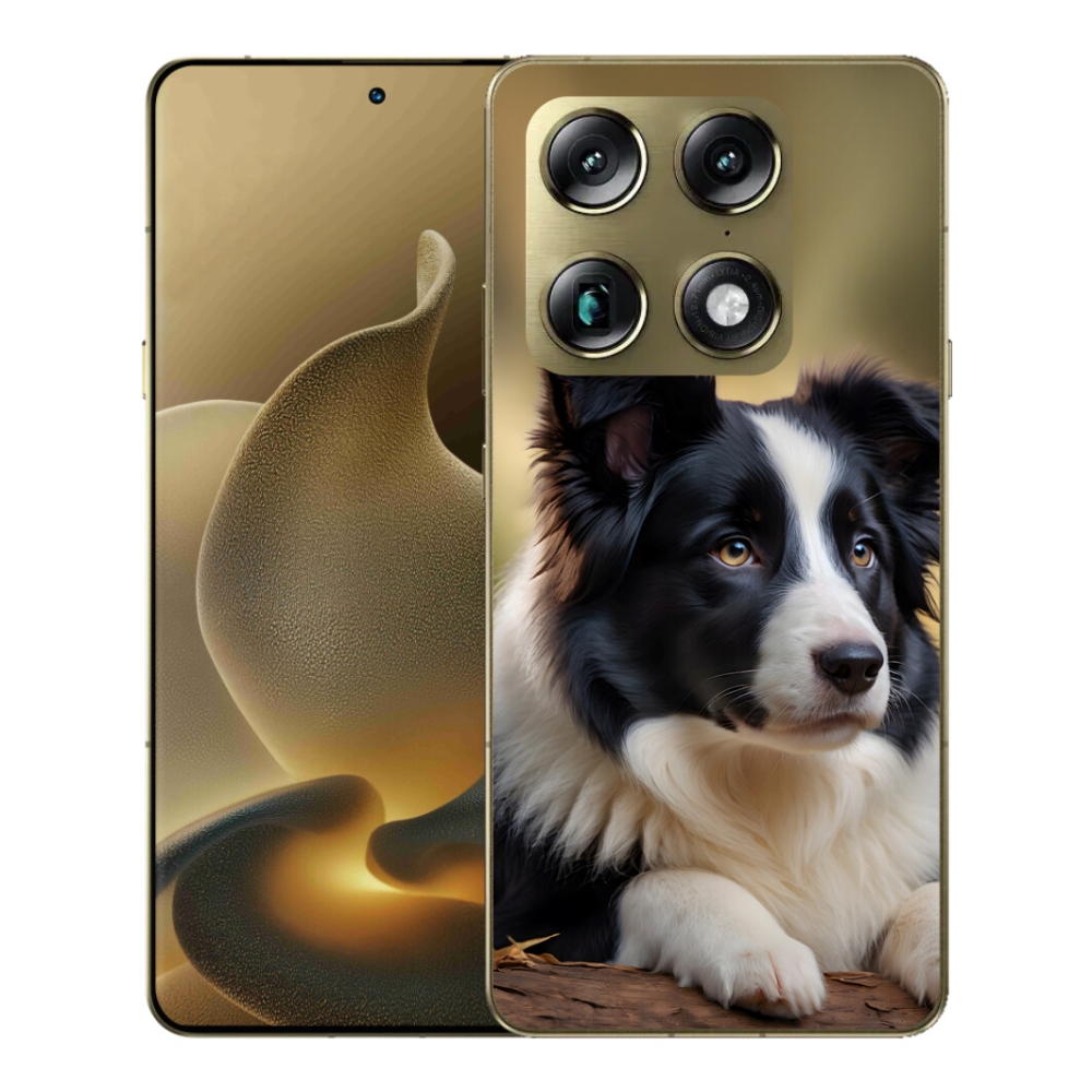 Gélový kryt mmCase na Motorola Signature - border kólia 2