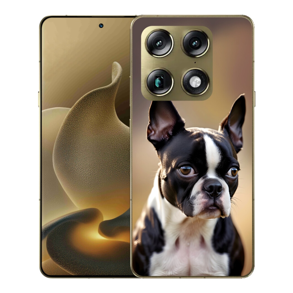 Gélový kryt mmCase na Motorola Signature - bostonský teriér