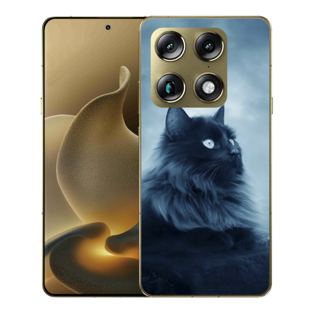 Gélový kryt mmCase na Motorola Signature - čierna mačka 1