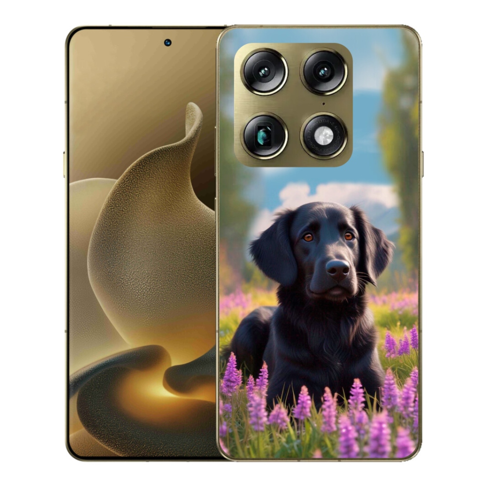 Gélový kryt mmCase na Motorola Signature - elegantný čierny retriever