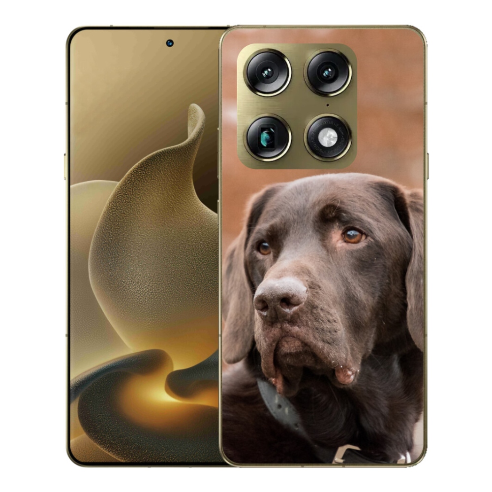 Gélový kryt mmCase na Motorola Signature - hnedý labrador