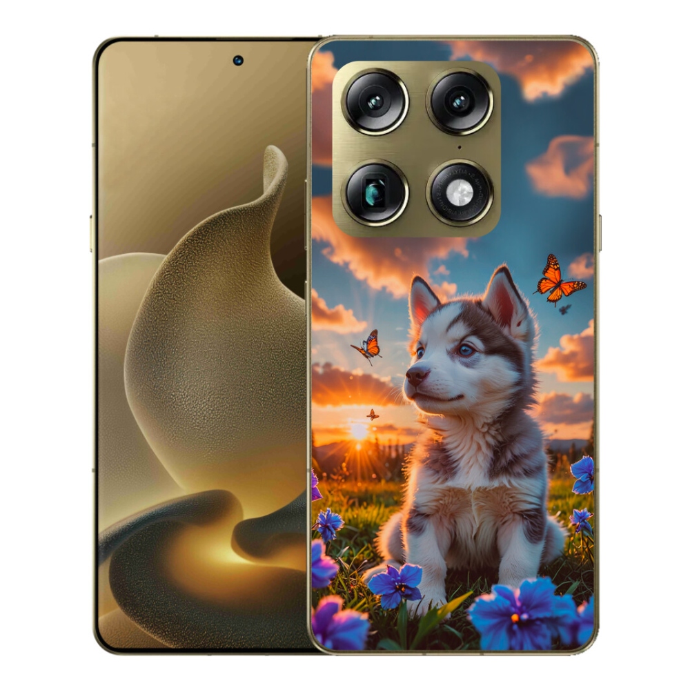 Gélový kryt mmCase na Motorola Signature - husky pri západe slnka