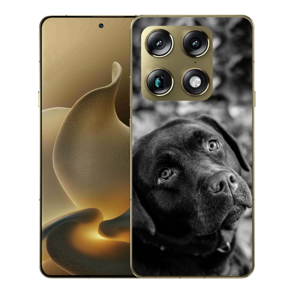 Gélový kryt mmCase na Motorola Signature - labrador