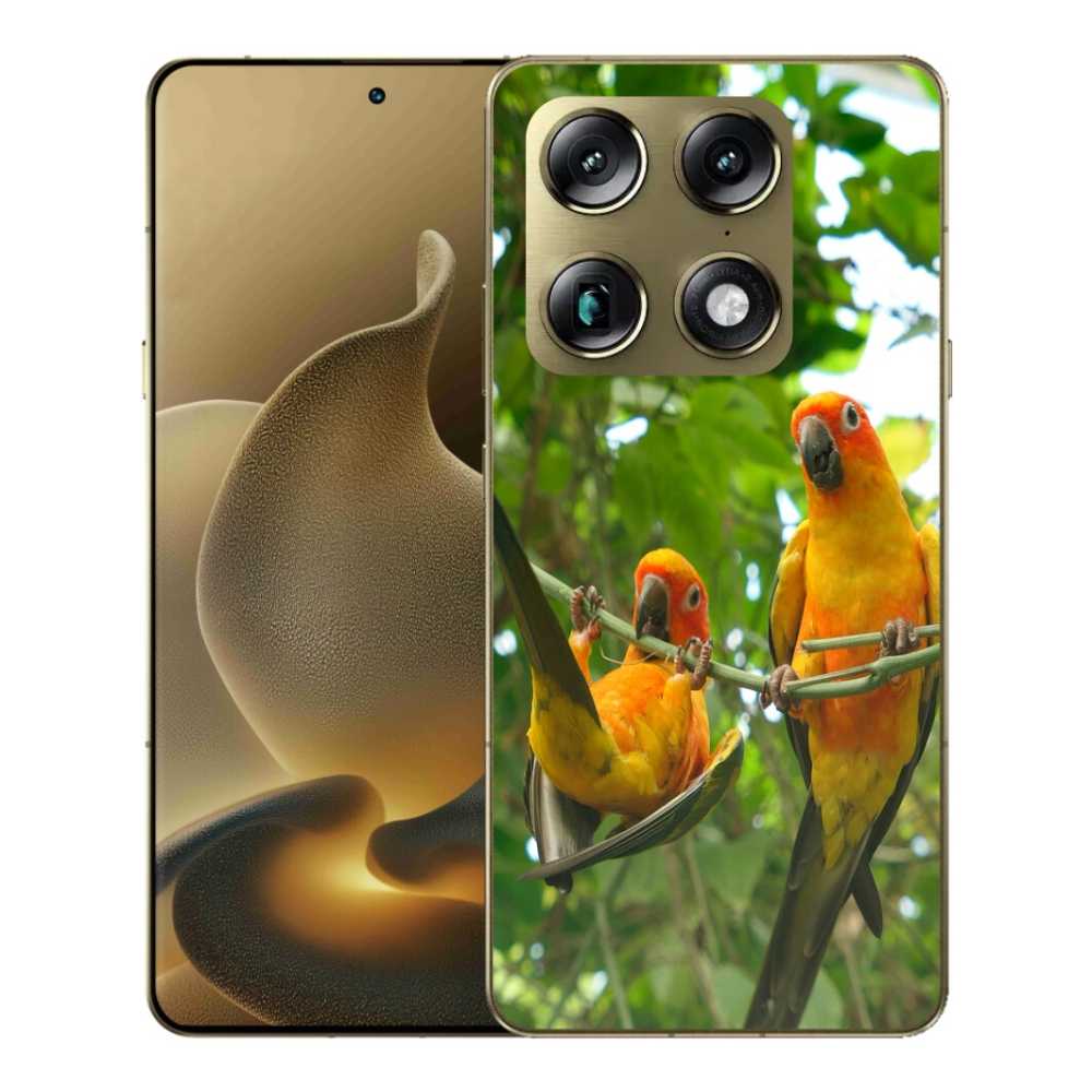 Gélový kryt mmCase na Motorola Signature - papagáje aratingy
