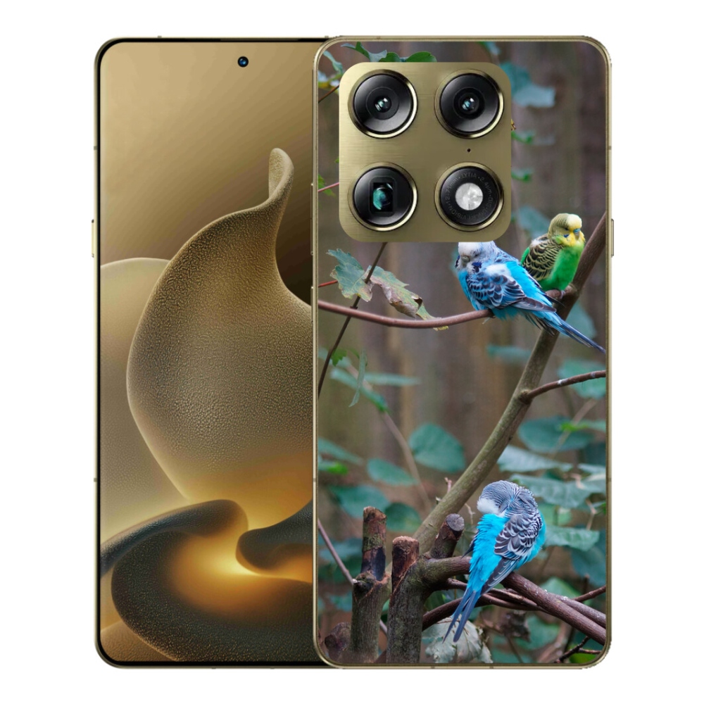 Gélový kryt mmCase na Motorola Signature - papagáje na vetve