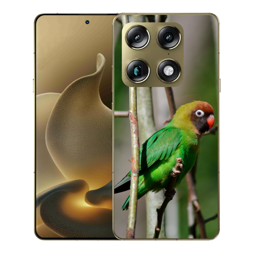 Gélový kryt mmCase na Motorola Signature - papagáj agapornis