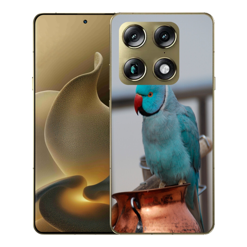 Gélový kryt mmCase na Motorola Signature - papagáj alexander modrý