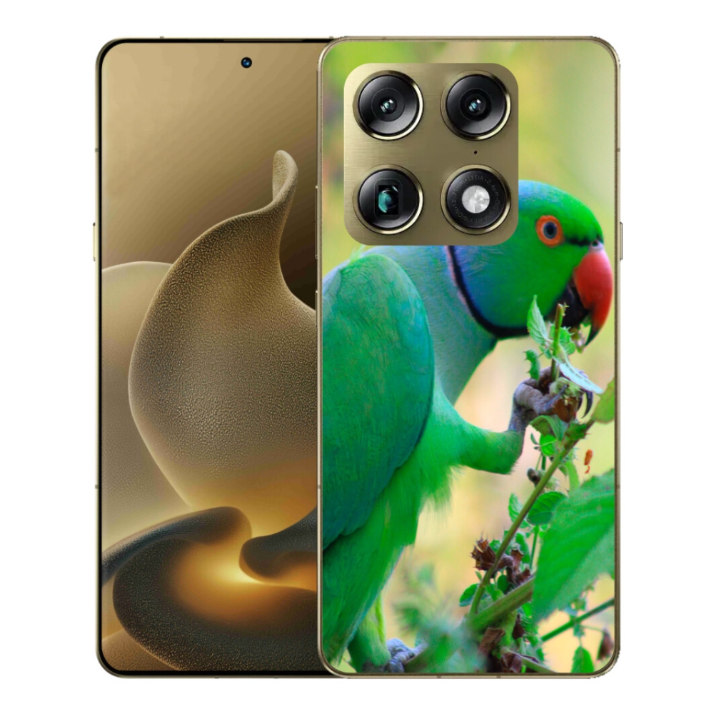 Gélový kryt mmCase na Motorola Signature - papagáj Alexandr