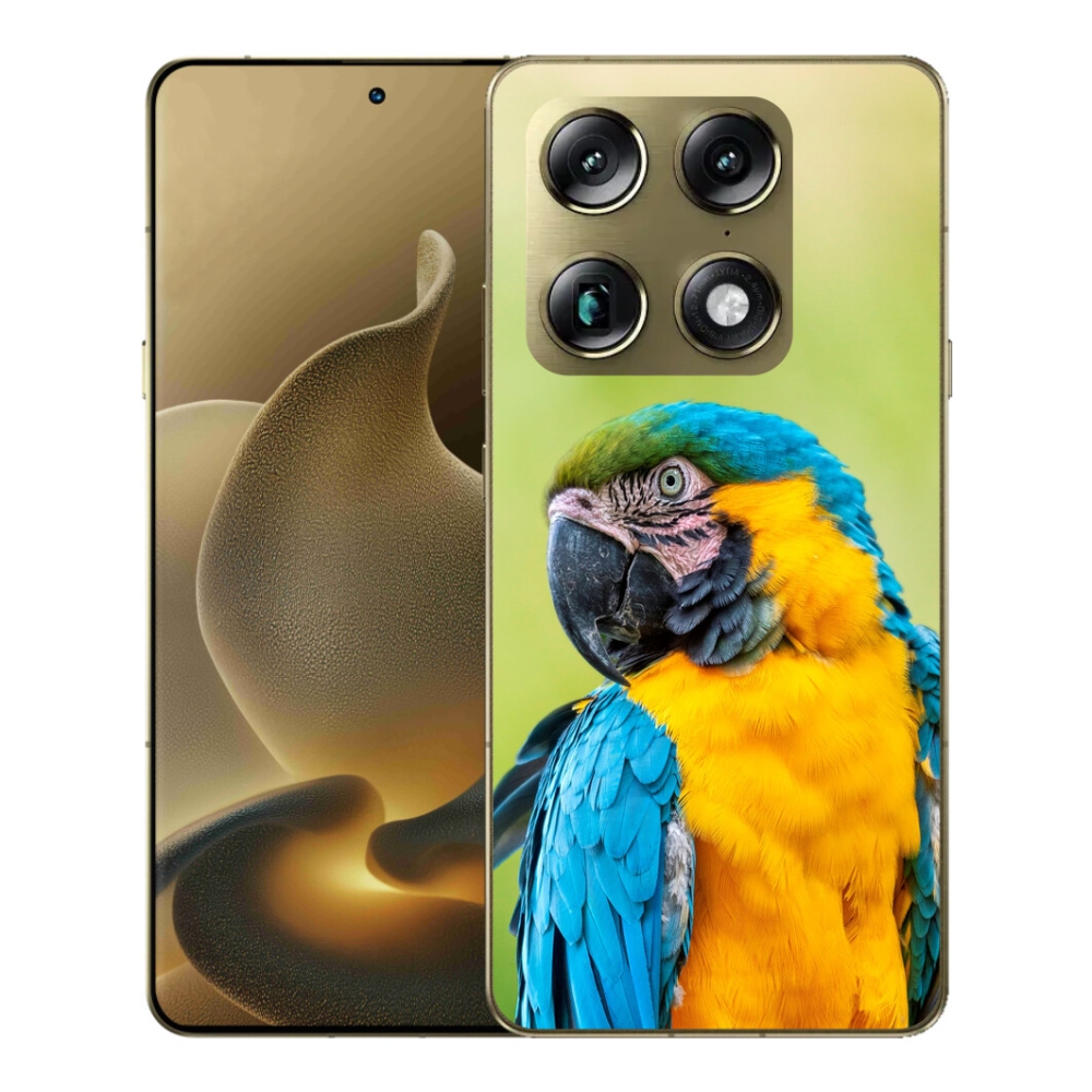 Gélový kryt mmCase na Motorola Signature - papagáj ara 2