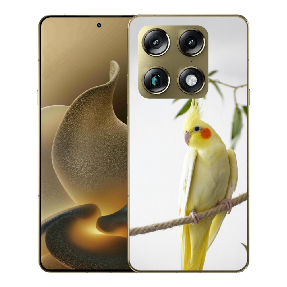 Gélový kryt mmCase na Motorola Signature - papagáj korela chocholatá