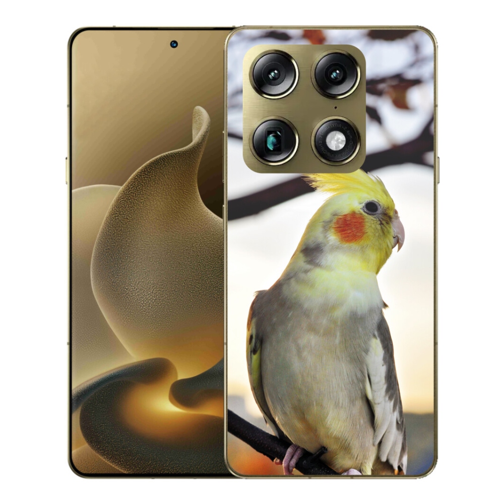 Gélový kryt mmCase na Motorola Signature - papagáj korela