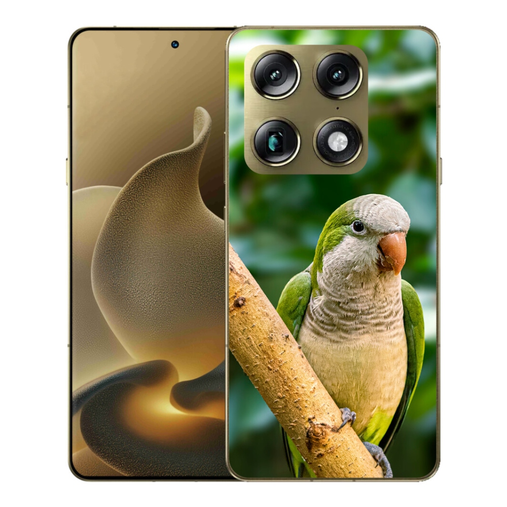 Gélový kryt mmCase na Motorola Signature - papagáj mníšok