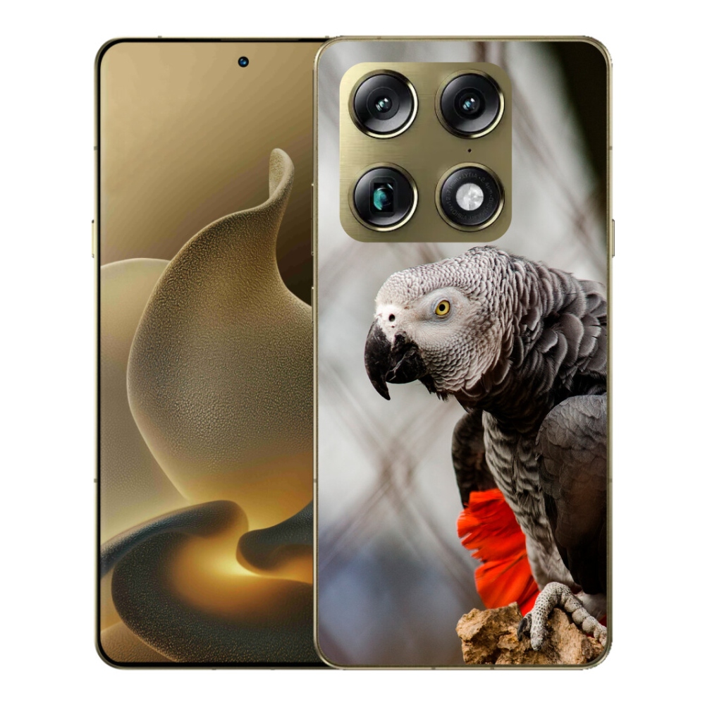 Gélový kryt mmCase na Motorola Signature - papagáj žako 3