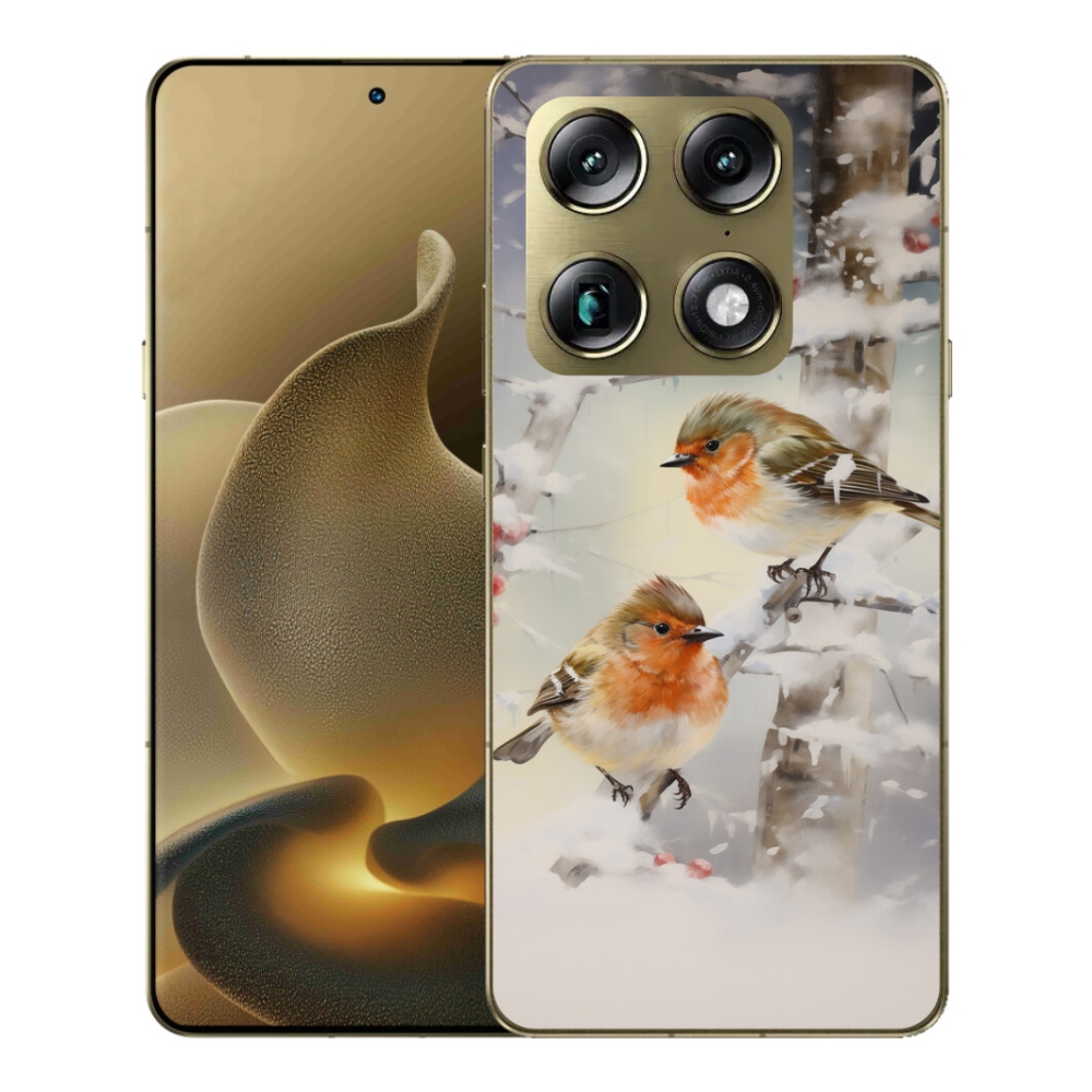 Gélový kryt mmCase na Motorola Signature - vtáčiky v zime