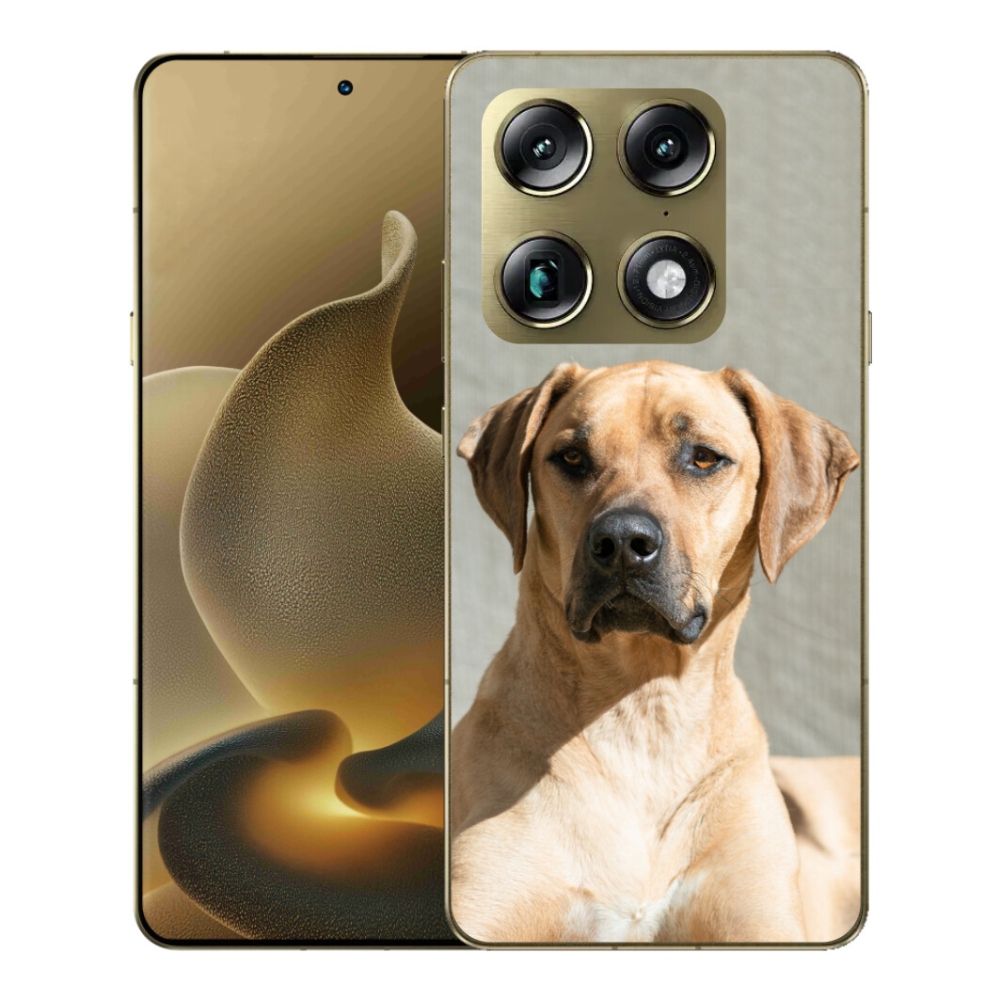Gélový kryt mmCase na Motorola Signature - ridgeback