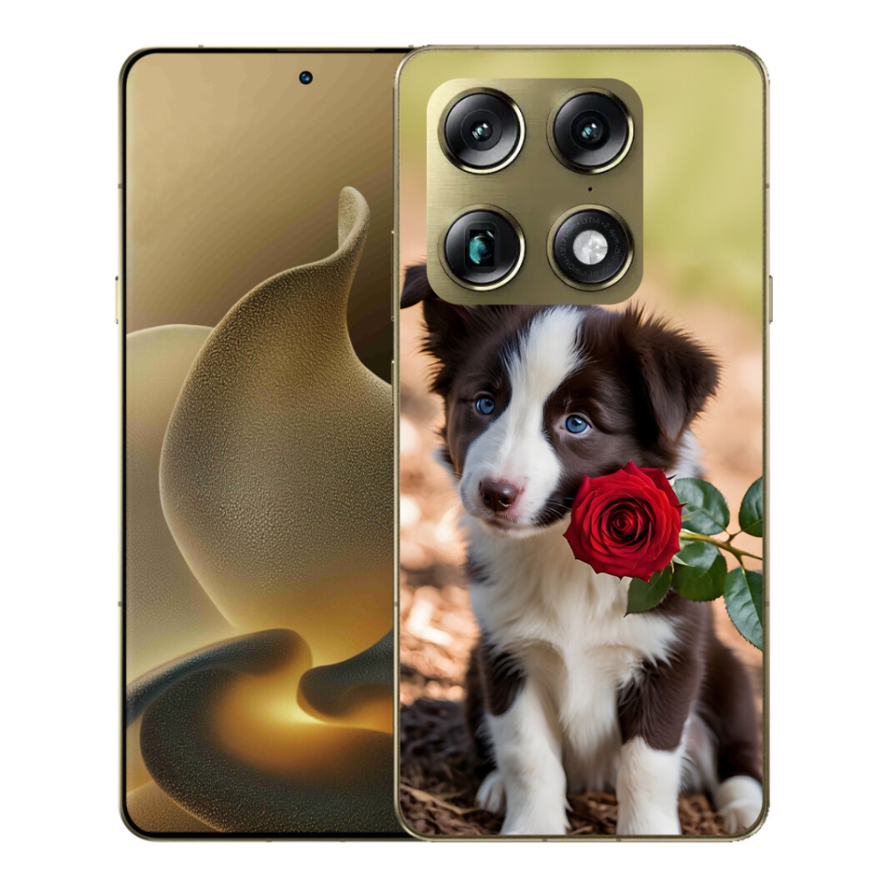 Gélový kryt mmCase na Motorola Signature - roztomilá border kólia s ružou