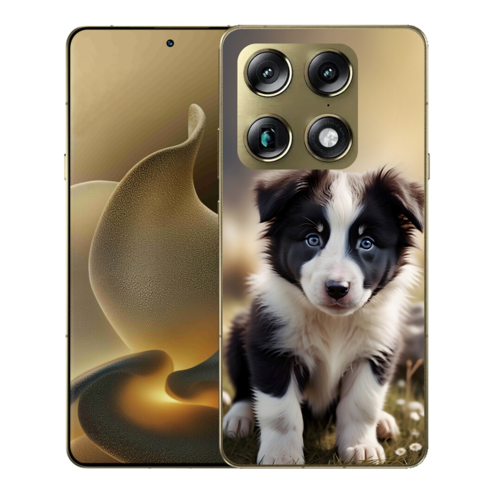 Gélový kryt mmCase na Motorola Signature - roztomilá border kólia
