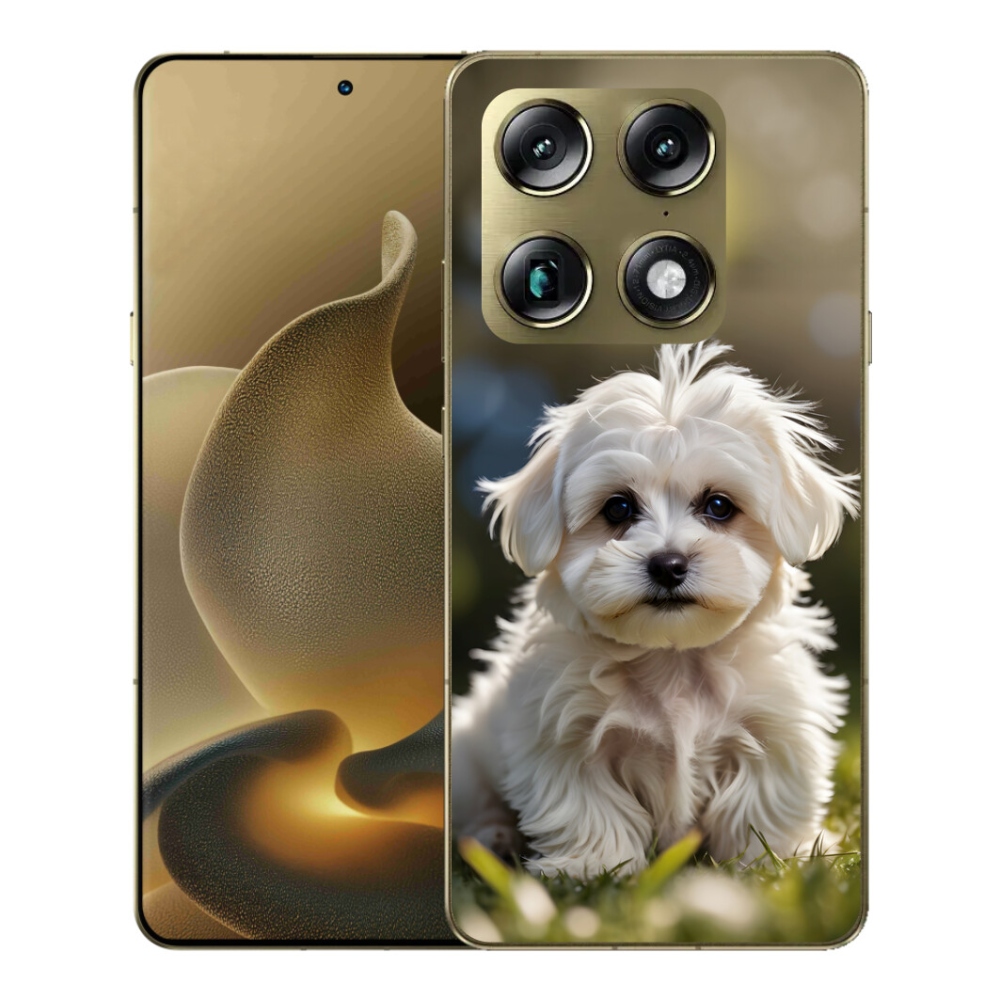 Gélový kryt mmCase na Motorola Signature - roztomilý maltézsky psík