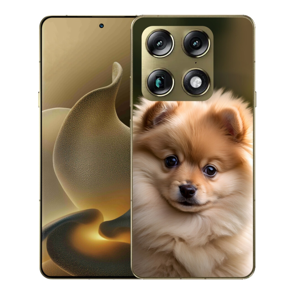 Gélový kryt mmCase na Motorola Signature - roztomilý pomeranian 2