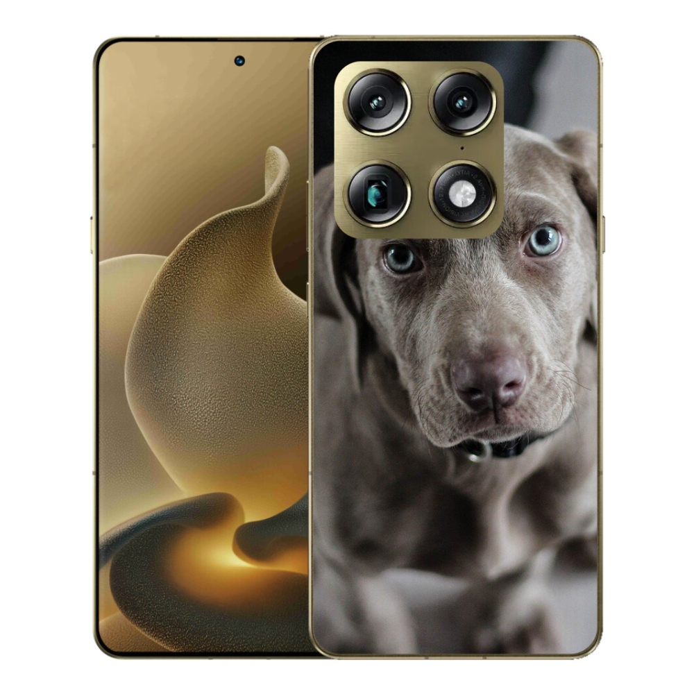 Gélový kryt mmCase na Motorola Signature - weimarský stavač
