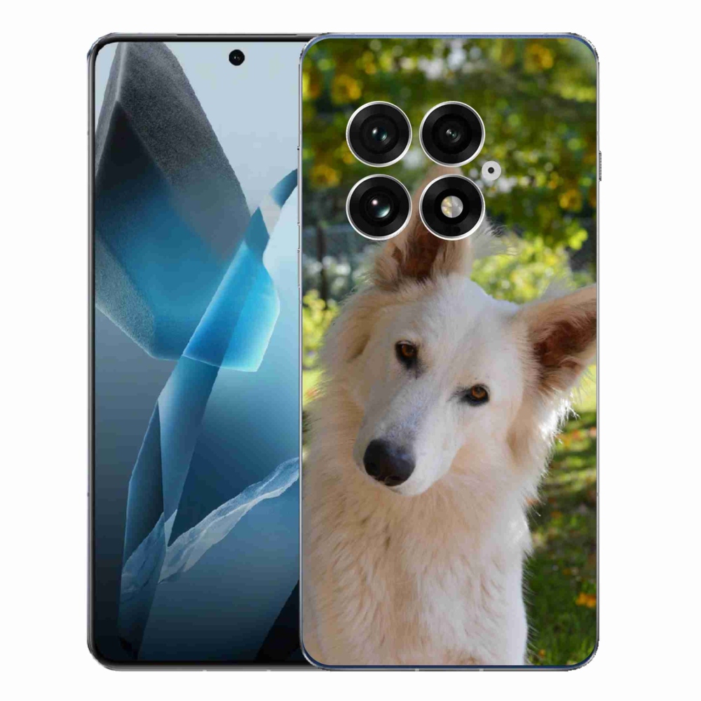 Gélový kryt mmCase na One Plus 13 - biely švajčiarsky ovčiak 1