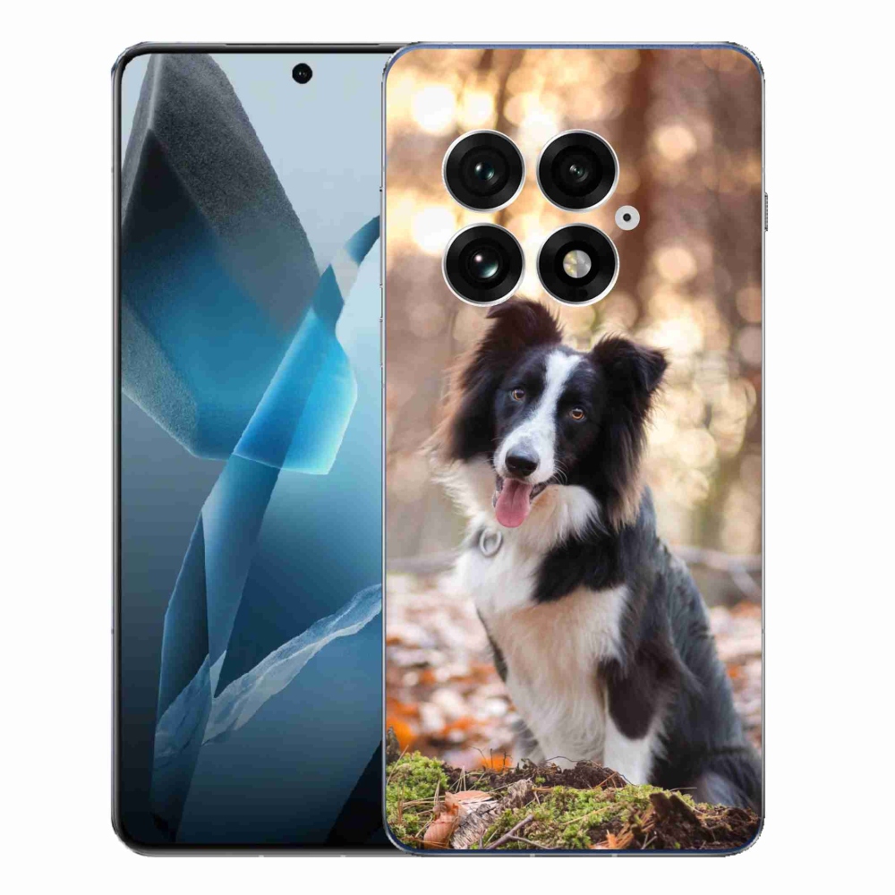 Gélový kryt mmCase na One Plus 13 - border kólia 1