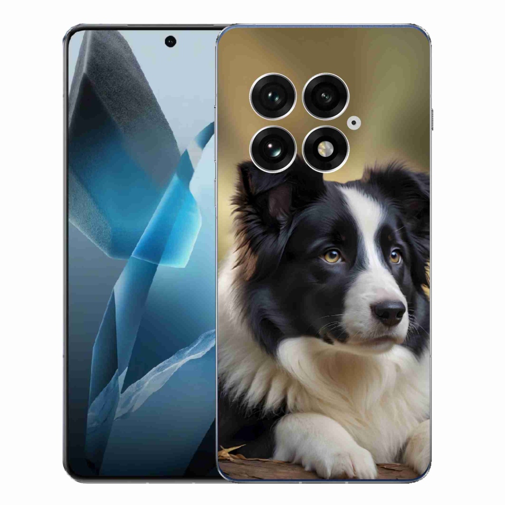 Gélový kryt mmCase na One Plus 13 - border kólia 2