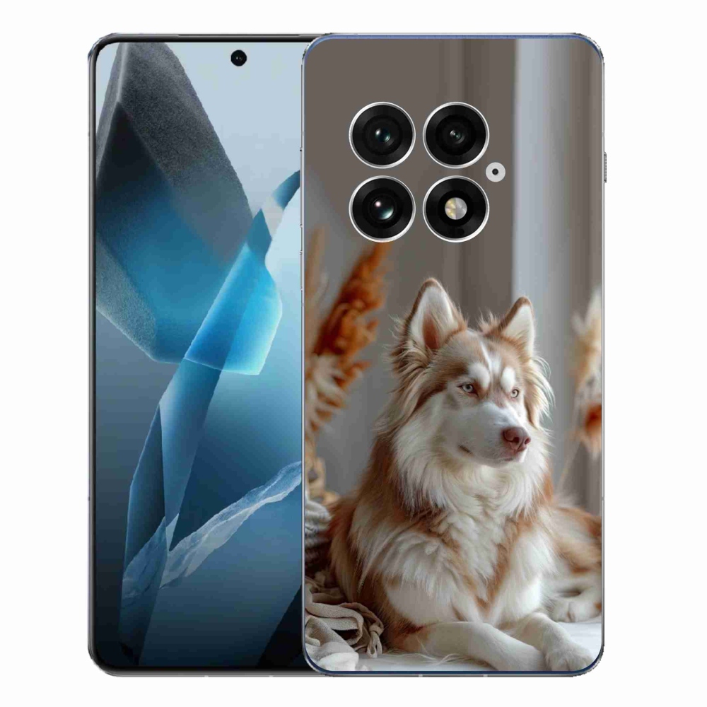 Gélový kryt mmCase na One Plus 13 - pokojný sibírsky husky