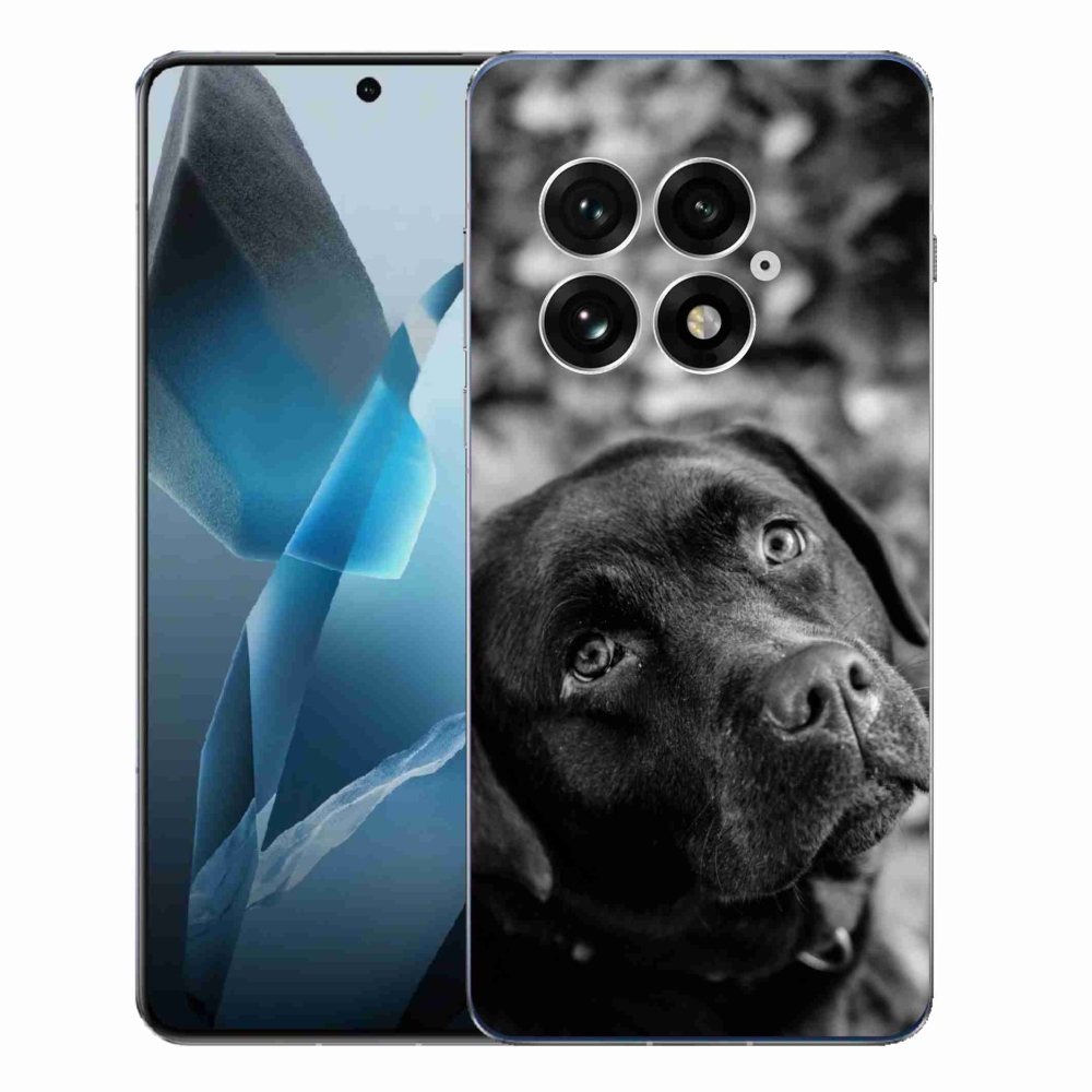 Gélový kryt mmCase na One Plus 13 - labrador