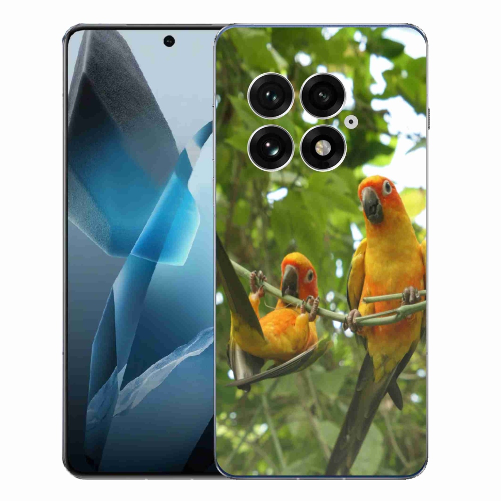 Gélový kryt mmCase na One Plus 13 - papagáje aratingy