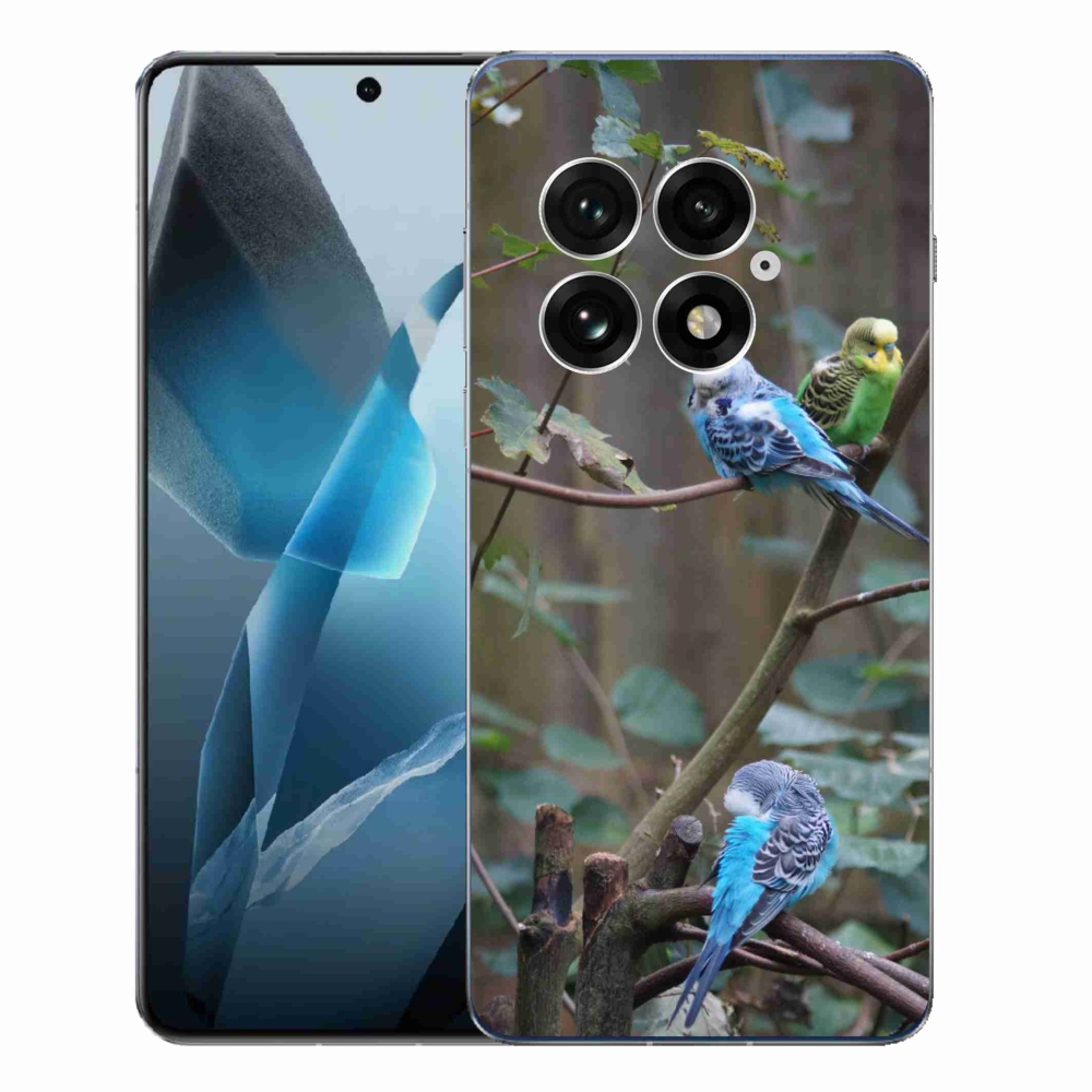 Gélový kryt mmCase na One Plus 13 - papagáje na vetve