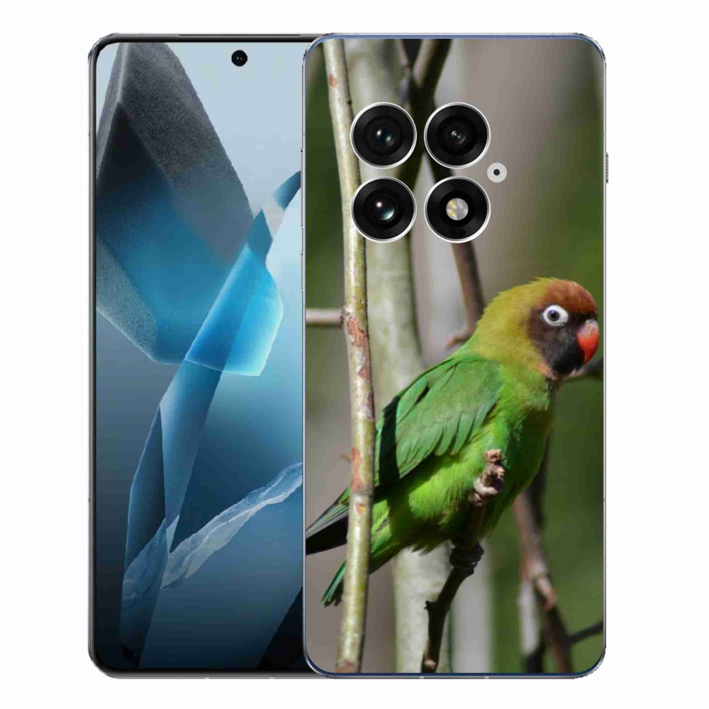 Gélový kryt mmCase na One Plus 13 - papagáj agapornis