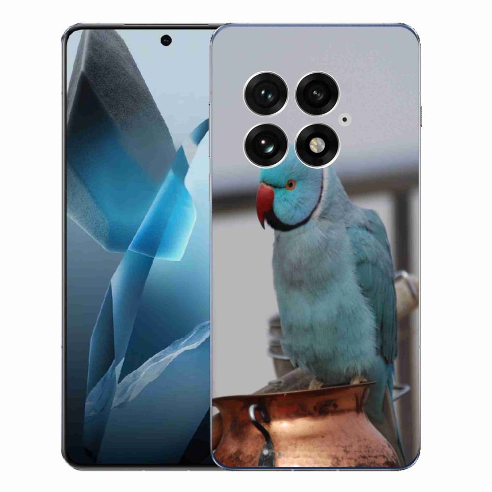 Gélový kryt mmCase na One Plus 13 - papagáj Alexandr modrý