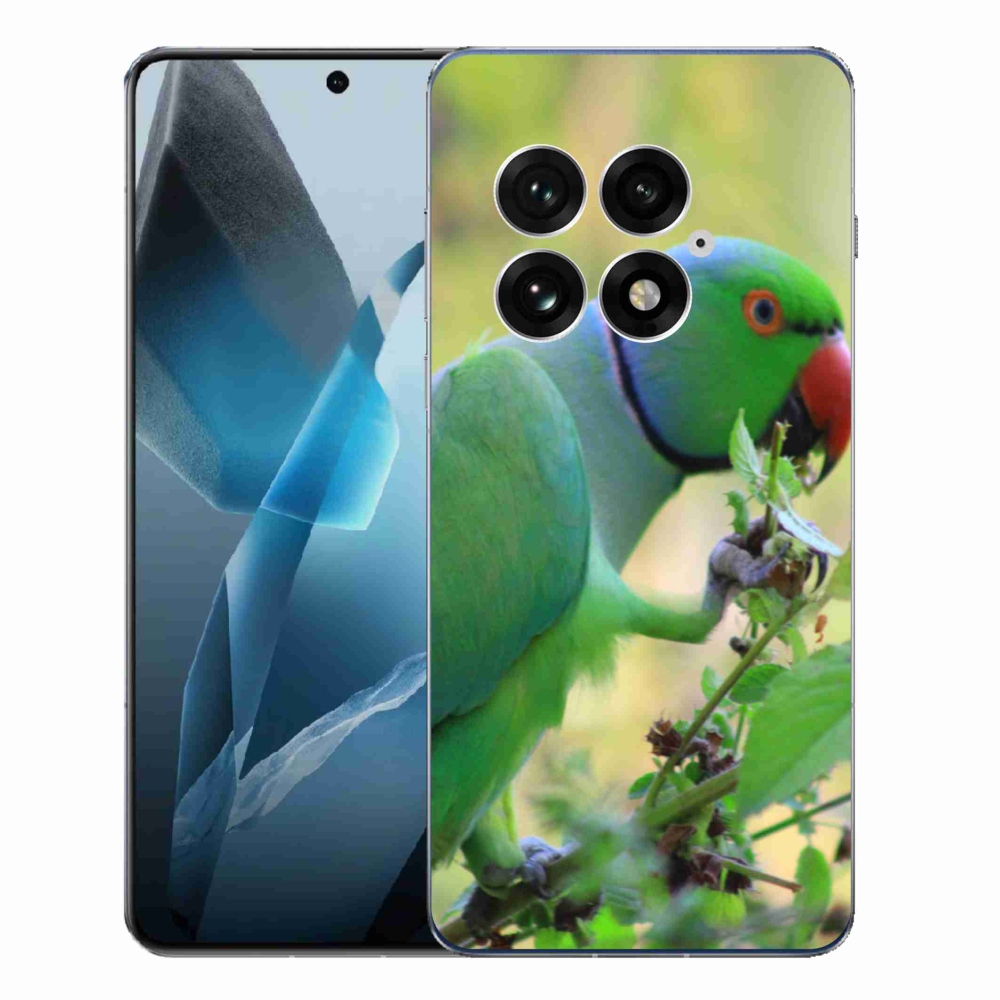 Gélový kryt mmCase na One Plus 13 - papagáj alender