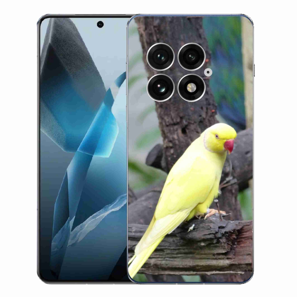 Gélový kryt mmCase na One Plus 13 - papagáj alexander žltý