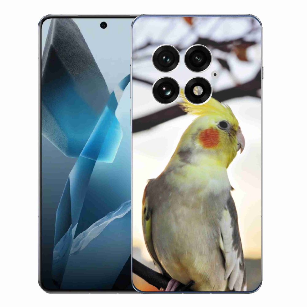 Gélový kryt mmCase na One Plus 13 - papagáj korela