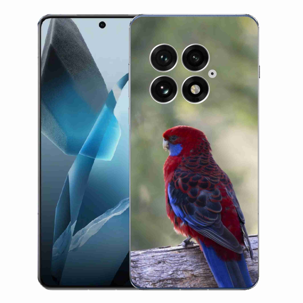 Gélový kryt mmCase na One Plus 13 - papagáj rosela