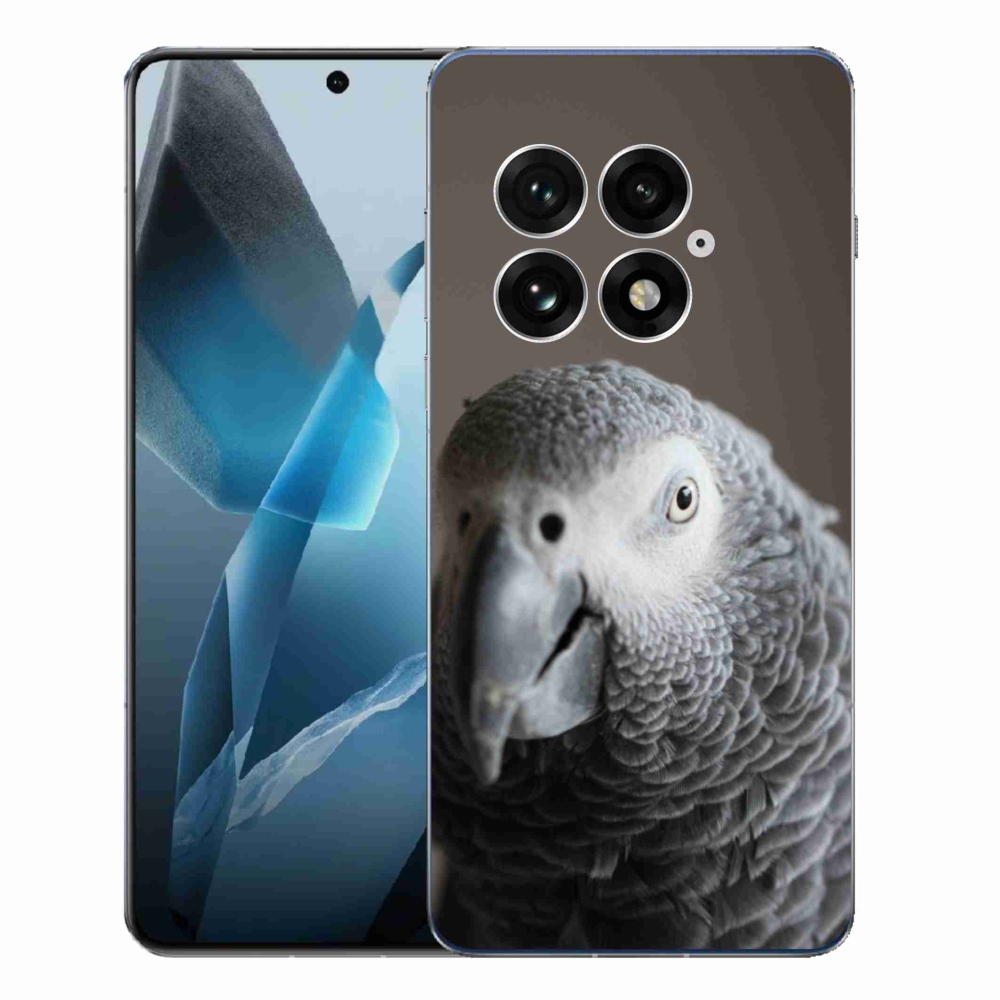 Gélový kryt mmCase na One Plus 13 - papagáj žako 2
