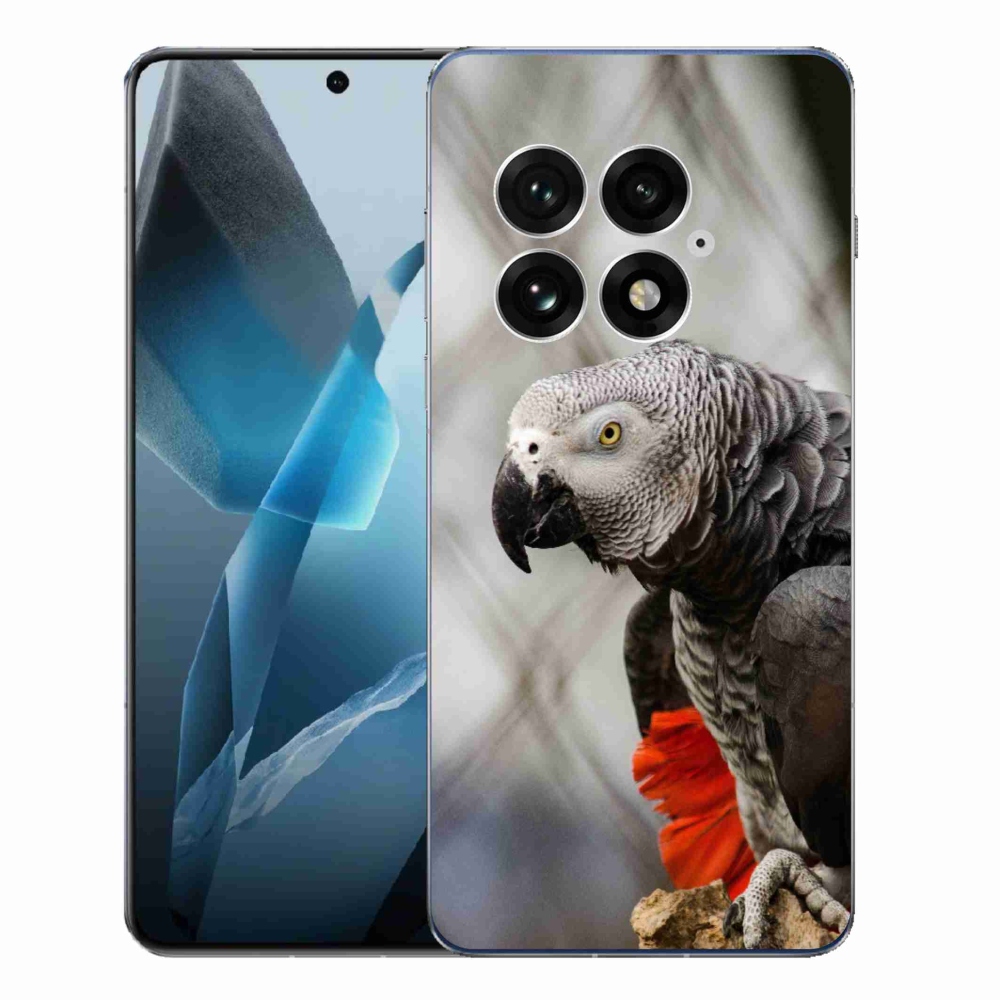 Gélový kryt mmCase na One Plus 13 - papagáj žako 3