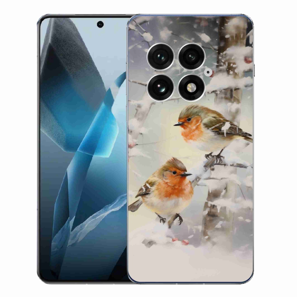 Gélový kryt mmCase na One Plus 13 - vtáčiky v zime
