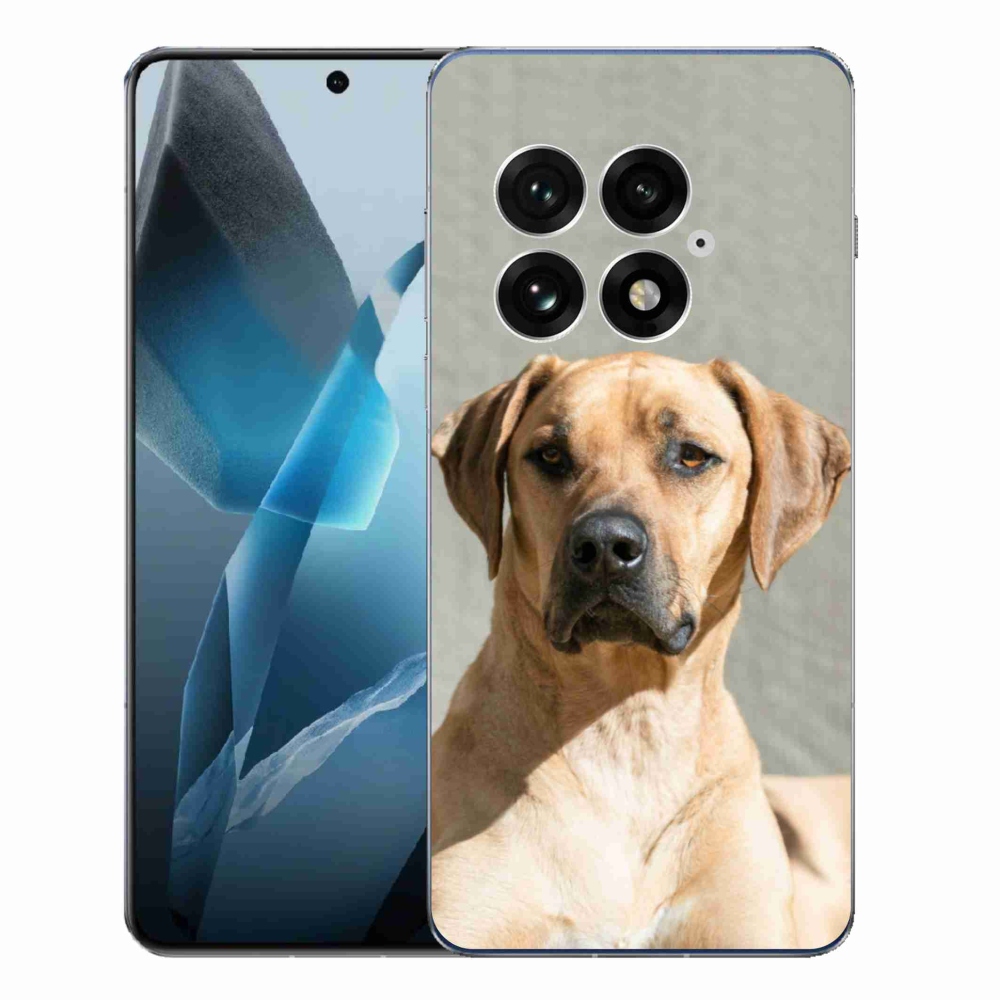 Gélový kryt mmCase na One Plus 13 - ridgeback