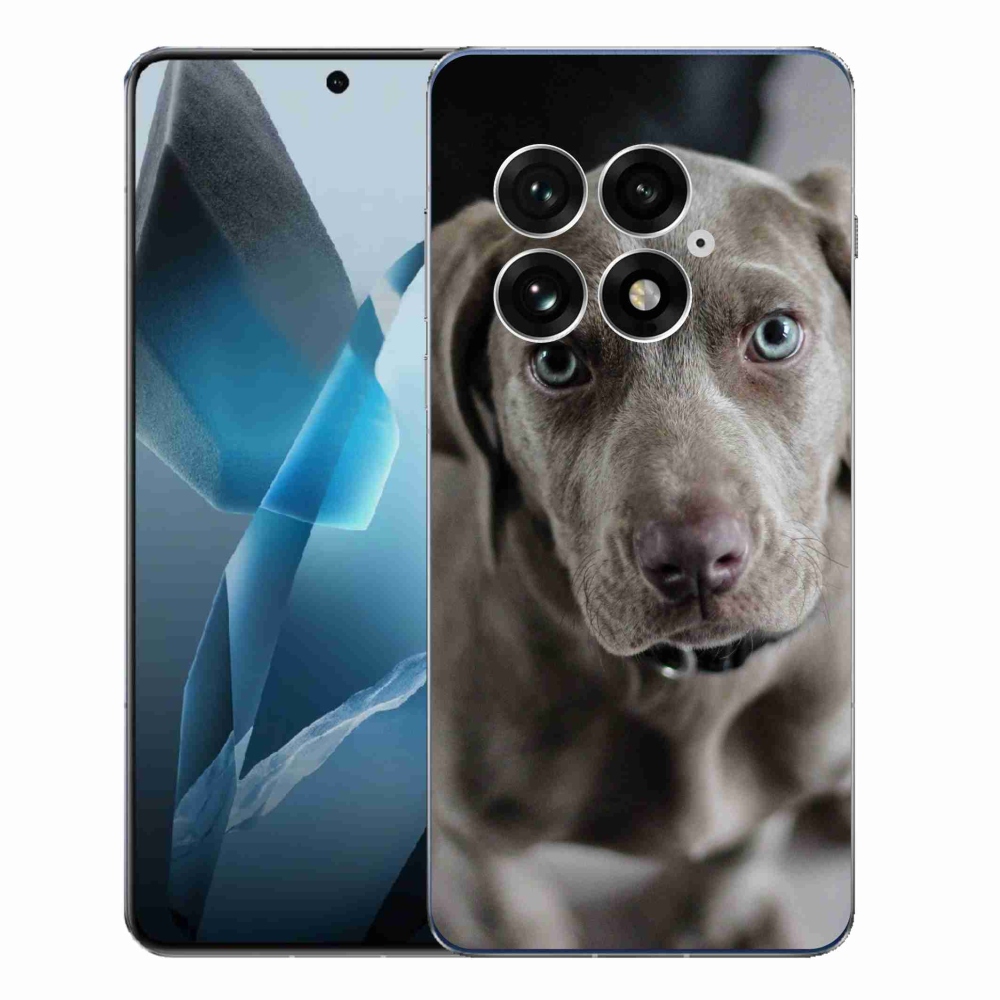 Gélový kryt mmCase na One Plus 13 - weimarský stavač