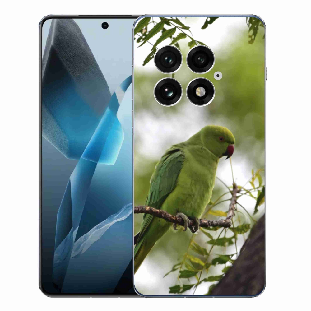 Gélový kryt mmCase na One Plus 13 - zelený papagáj