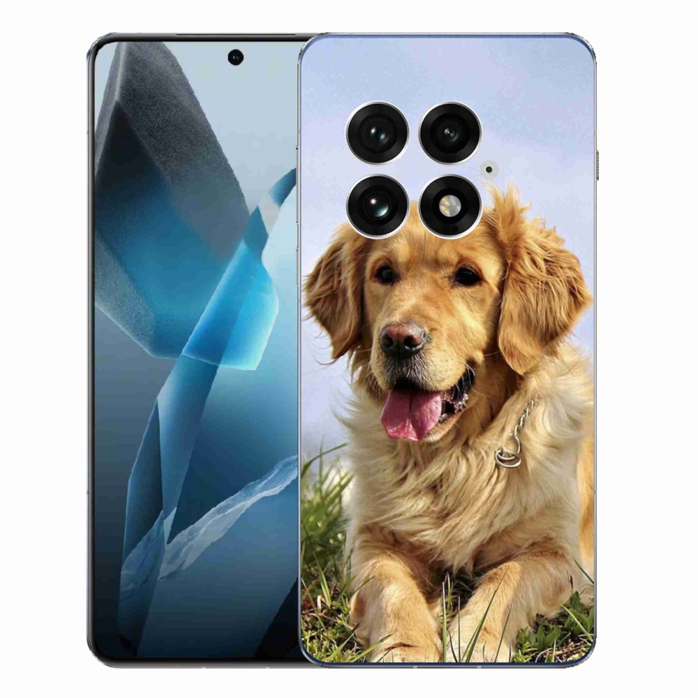 Gélový kryt mmCase na One Plus 13 - zlatý retriever