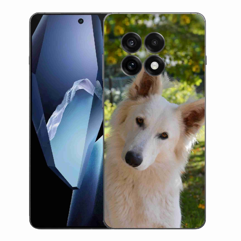 Gélový kryt mmCase na One Plus 13R - biely švajčiarsky ovčiak 1