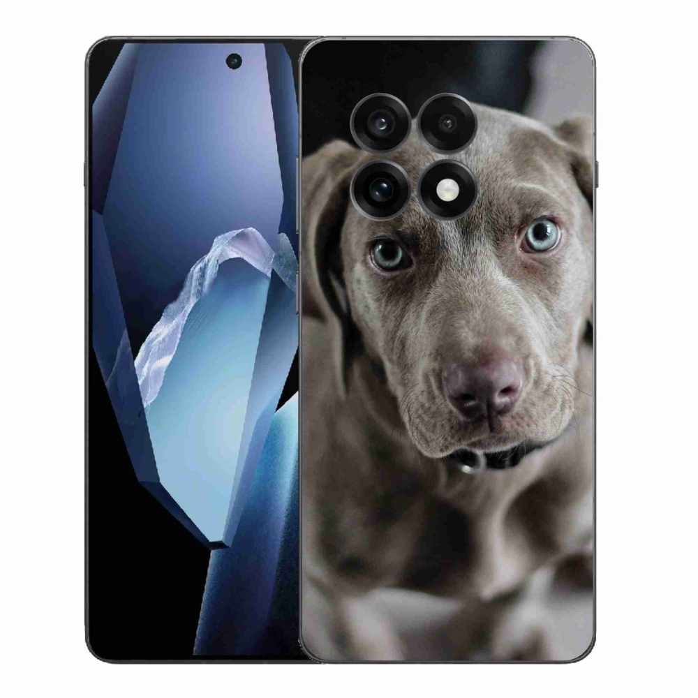 Gélový kryt mmCase na One Plus 13R - weimarský stavač