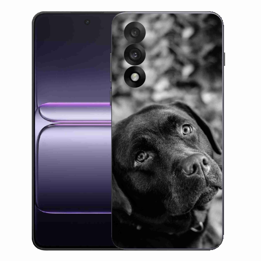 Gélový kryt mmCase na One Plus Nord 5 - labrador