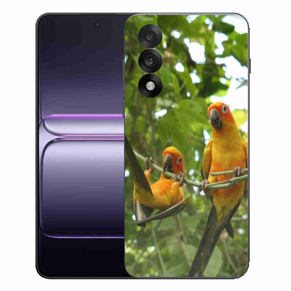 Gélový kryt mmCase na One Plus Nord 5 - papagáje aratingy