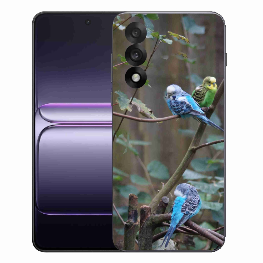 Gélový kryt mmCase na One Plus Nord 5 - papagáje na vetve